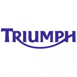 Stickers Triumph Rider
