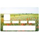 Sticker CB champs coquelicot