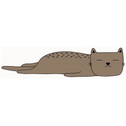 Sticker chat caisse