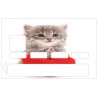 Sticker CB chaton coussin