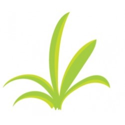 Sticker touffe herbe