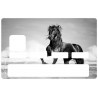 Autocollant CB Cheval au galop