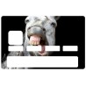 Autocollant CB Cheval