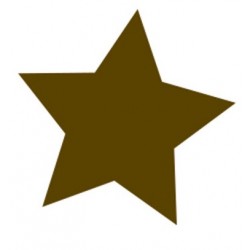 Sticker étoile double