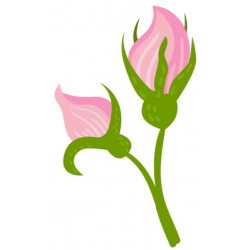 Sticker rose bouton fermé