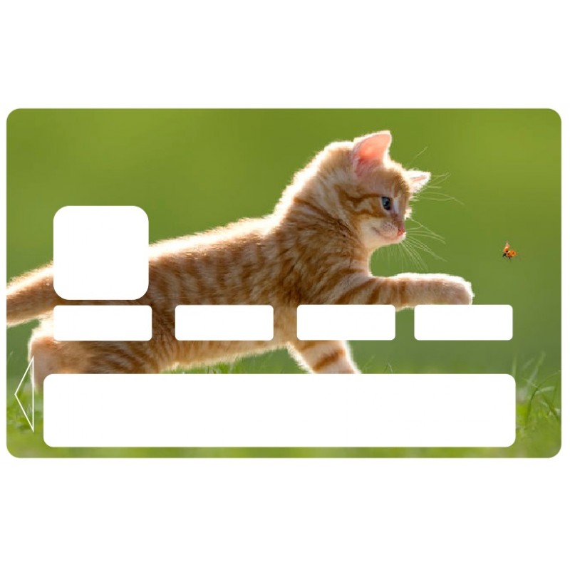 Sticker carte bleu Chat