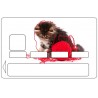 Sticker carte bancaire chaton