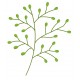 Sticker castor branche