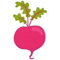 Sticker concombre