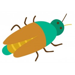 Sticker coléoptère vert rayé