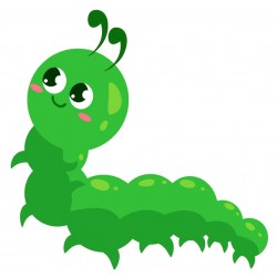 Sticker araignée grises