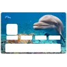 Sticker carte bleu dauphin