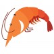 Sticker baleine violette