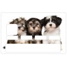 Autocollant carte bleu chien chiot