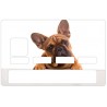 Sticker carte bleu Bulldog