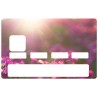 Sticker carte bleu Fleurs paquerette violette au soleil