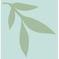 Sticker coeur saumon fond vert