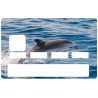 Autocollant carte bancaire dauphin