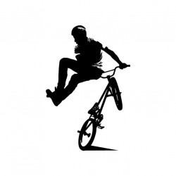 Sticker crâne casquette bmx