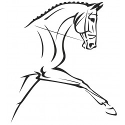 Sticker double cheval oeillères