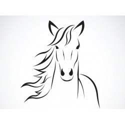 Sticker cheval face dressage