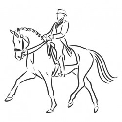 Sticker cheval blanc cavalier