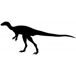 Sticker dinosaure croco arrondi