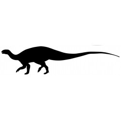 Sticker dinosaure rhinocéros noir