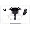 Autocollant carte bleu  Bulldog