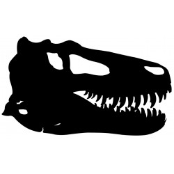 Sticker dinosaure blanc debout