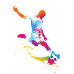 Sticker footeux 12 multicolore
