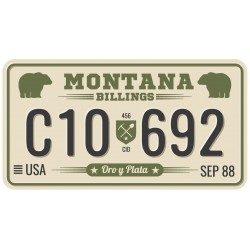 Sticker plaque Texas LGD 223