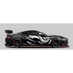 Sticker voiture sports sponsors