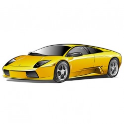 Sticker voiture blanche