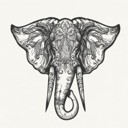 Sticker éléphant face