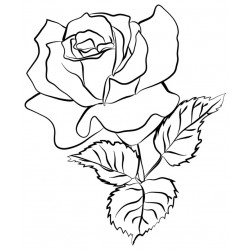 Sticker rose fermée