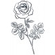 Sticker rose feuilles