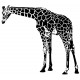 Sticker girafe