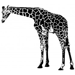 Sticker girafe