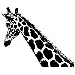 Sticker girafe verticale