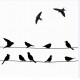 Sticker oiseau bec