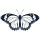 Sticker papillon pois