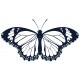 Sticker papillon pois