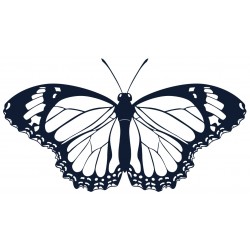 Sticker papillon pois