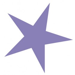 Sticker étoile deux vert