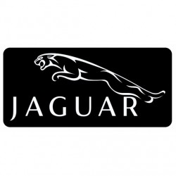 Stickers Jaguar vintage blanc