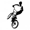 BMX